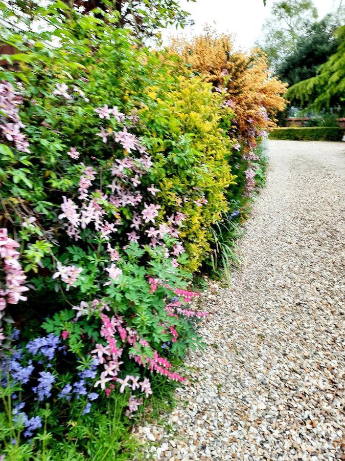 Ivy House Barn, Holiday home *